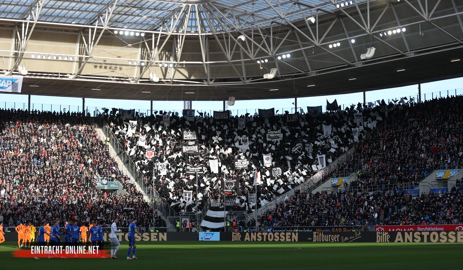 TSG Hoffenheim – Eintracht Frankfurt 2-2 (14)