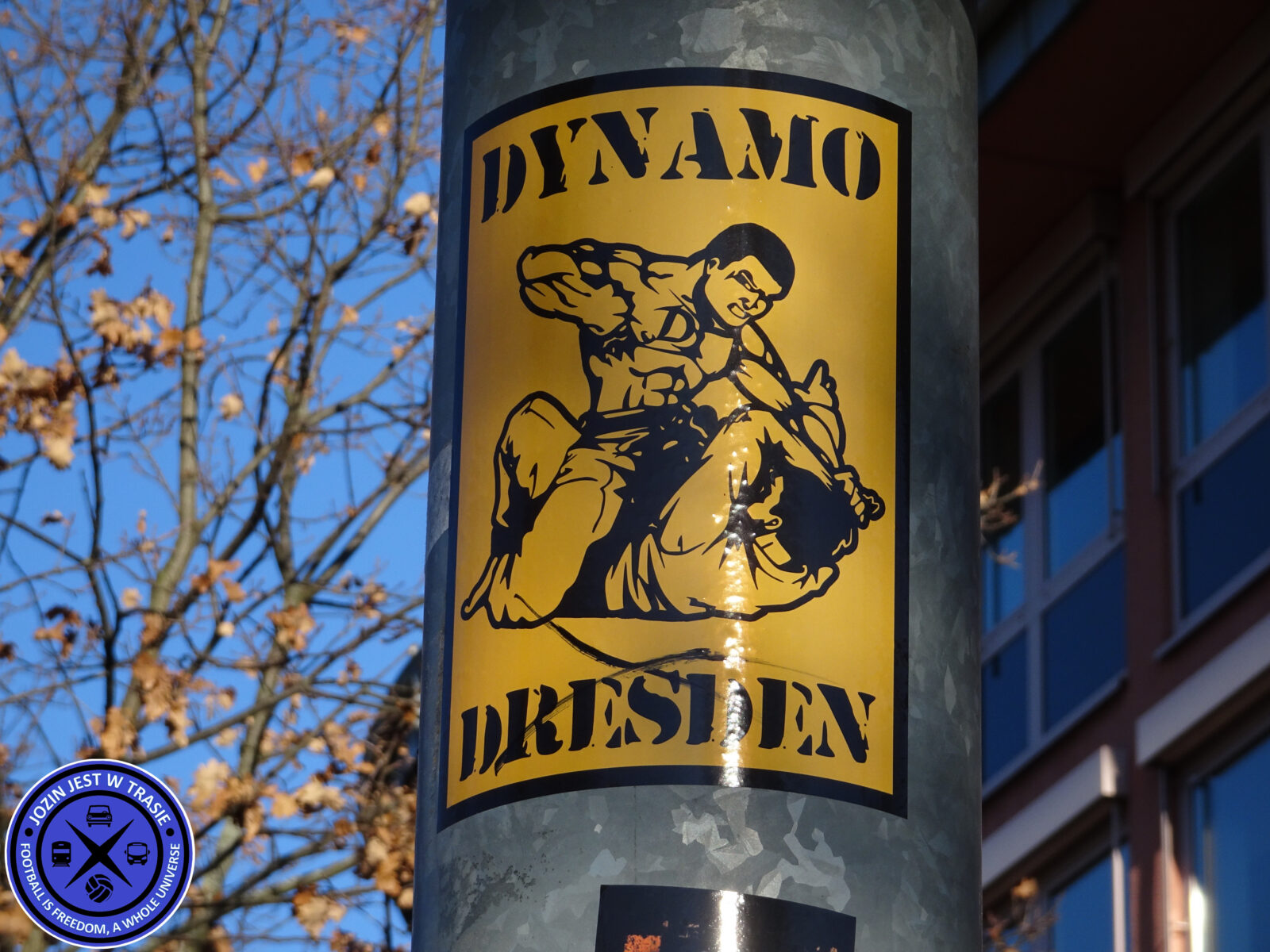 Dynamo Dresden – Viktoria Köln 2-3 (15)