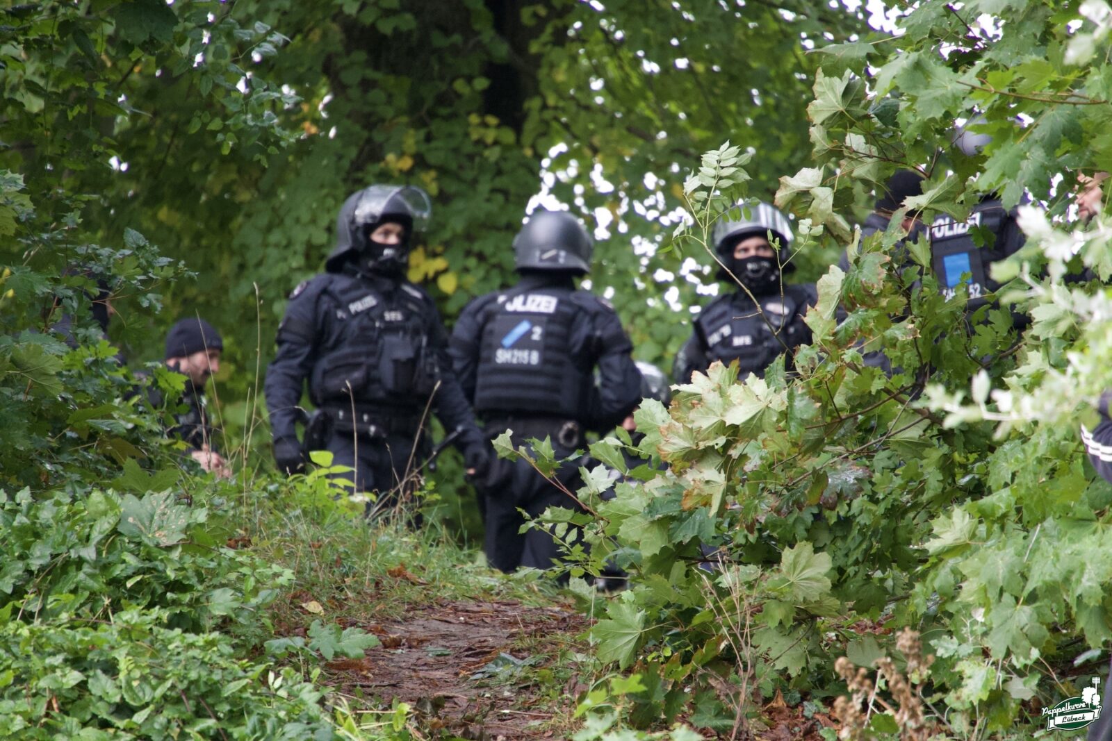 1. FC Phönix Lübeck – VfB Lübeck 1:0 (5)