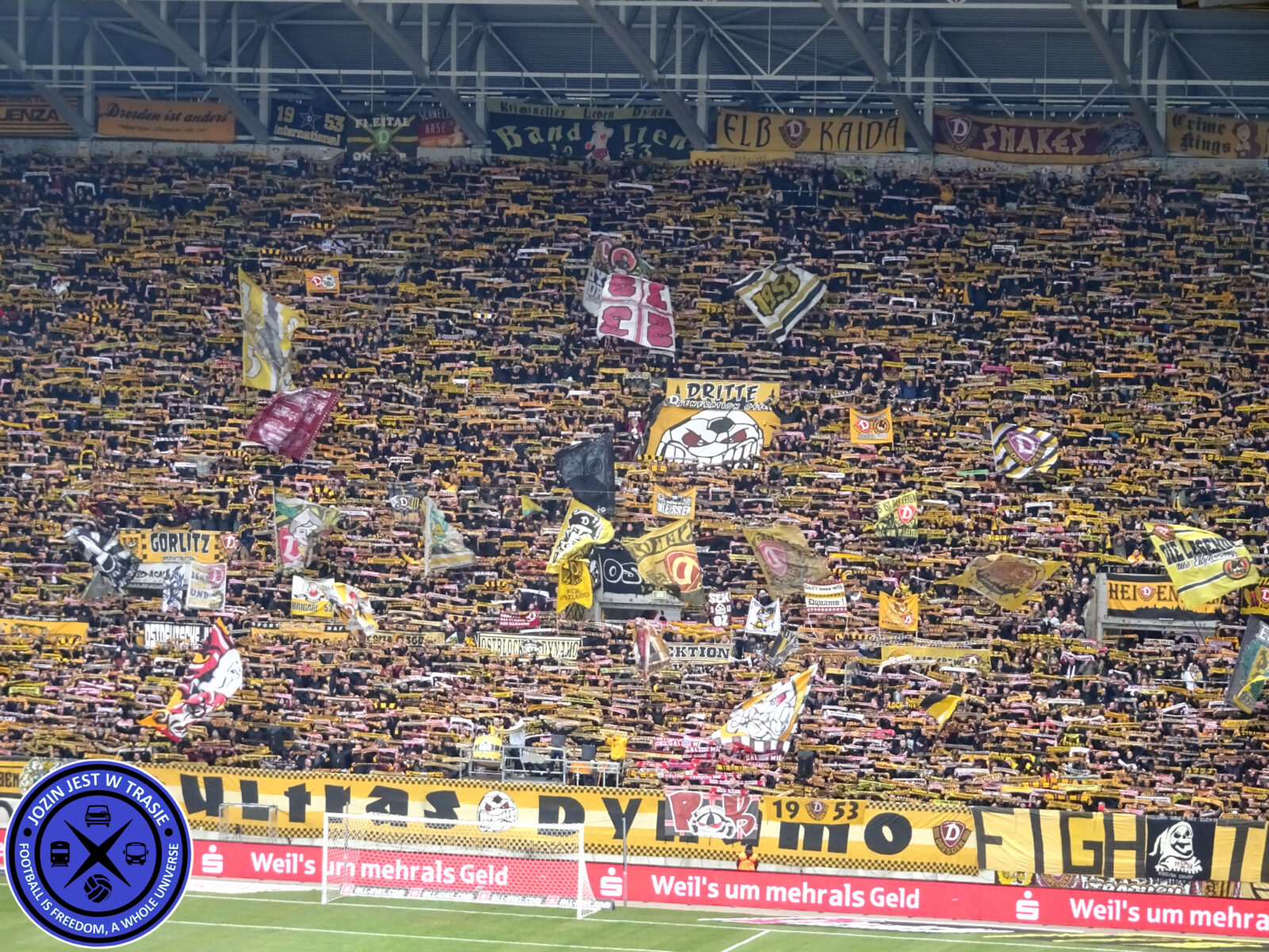 Dynamo Dresden – FC Erzgebirge Aue 2-1 (7)