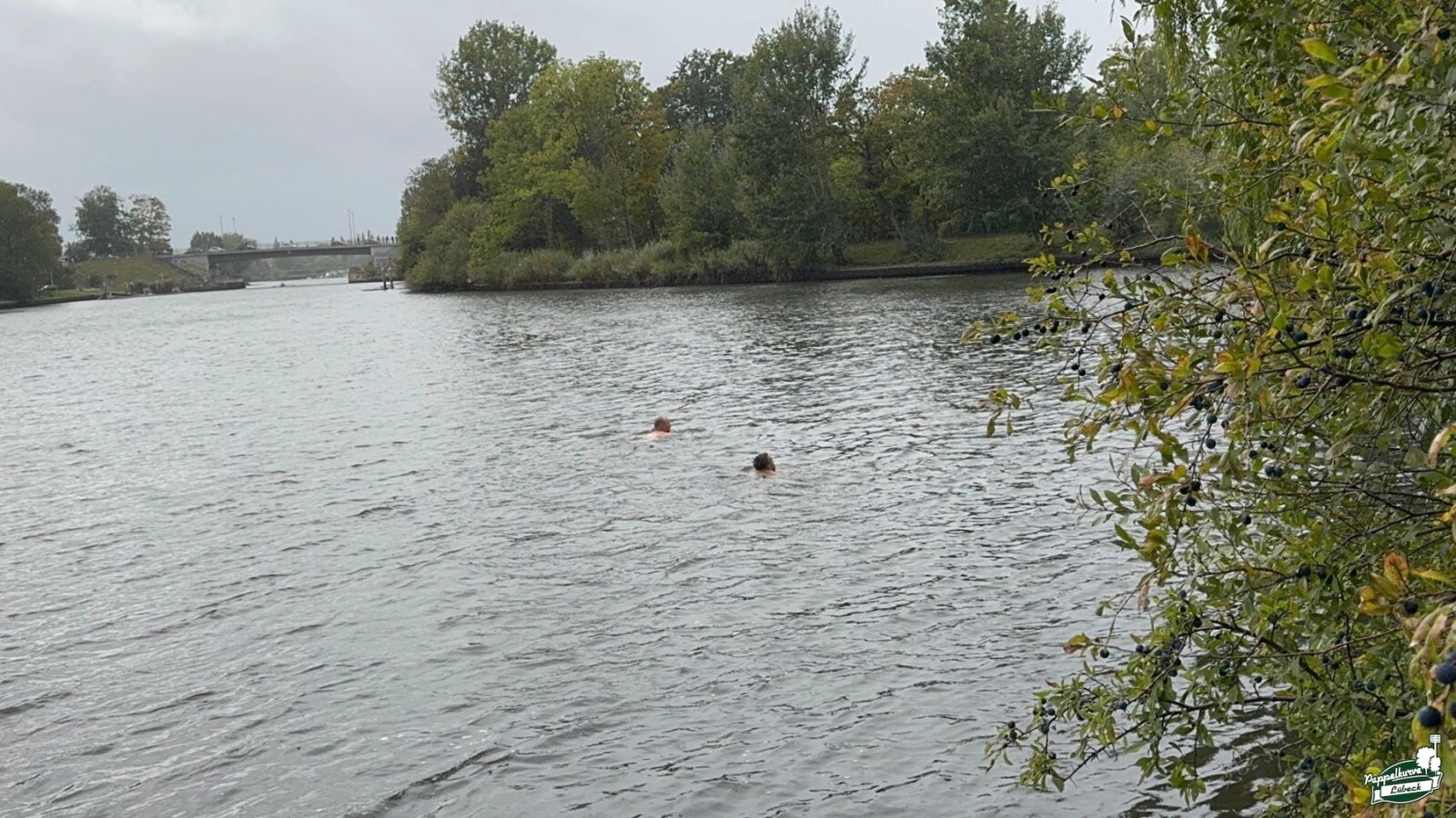 1. FC Phönix Lübeck – VfB Lübeck 1:0 (6)