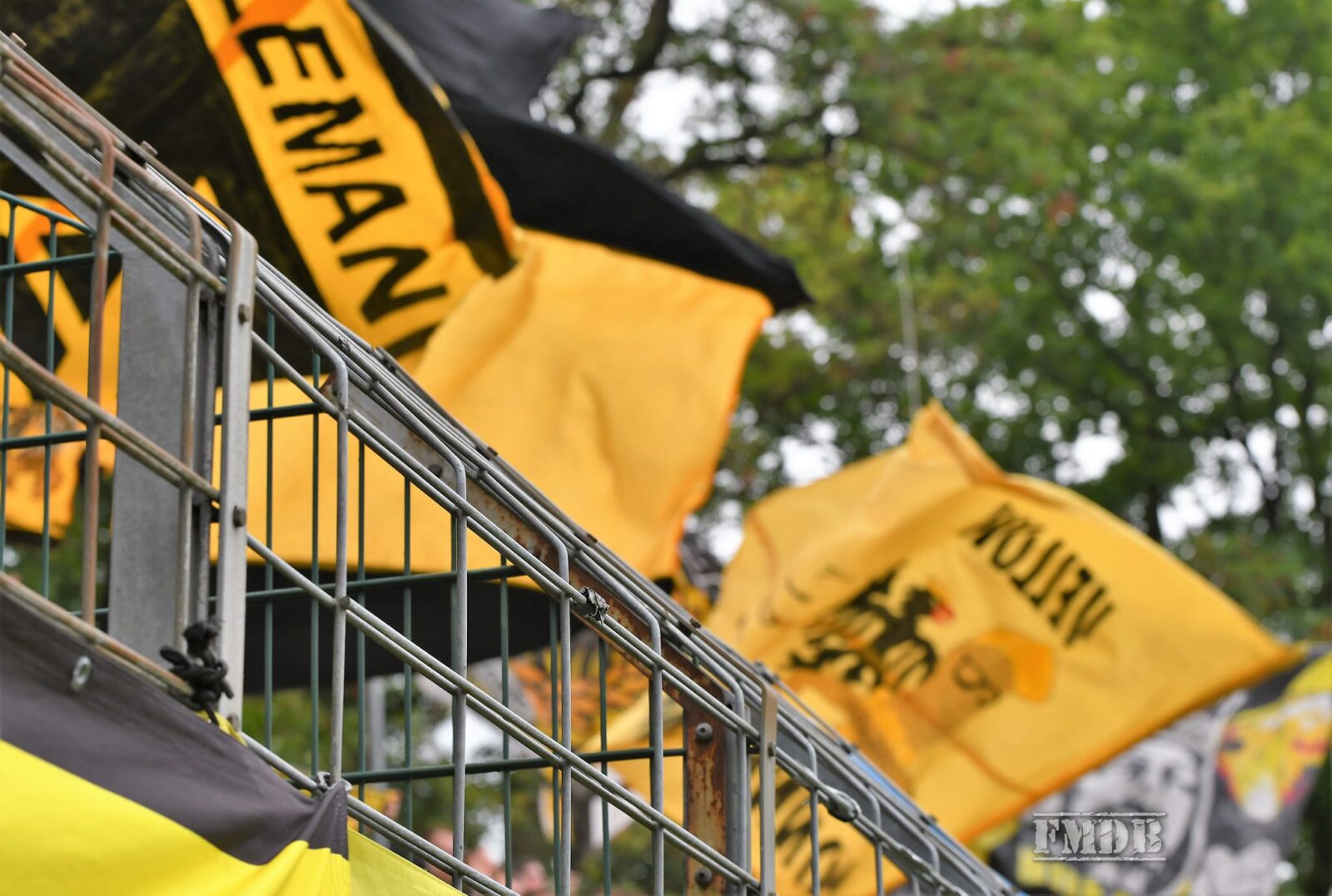 FC Gütersloh – TSV Alemannia Aachen 1-1 (2)