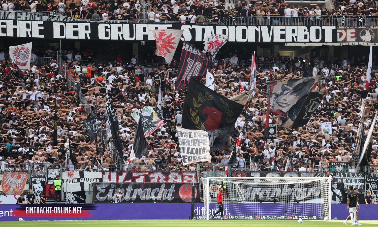 Eintracht Frankfurt – TSG Hoffenheim 3-1 (6)