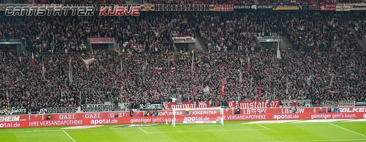 VfB Stuttgart – TSG Hoffenheim 1-1 (13)