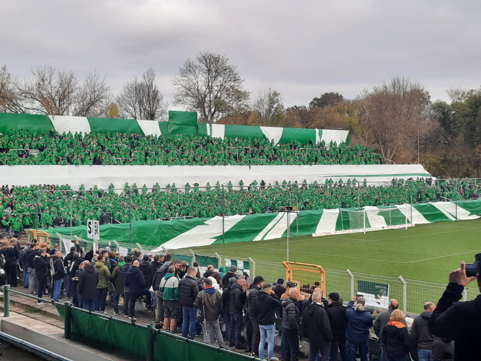 BSG Chemie Leipzig – Hallescher FC 1-1 (21)
