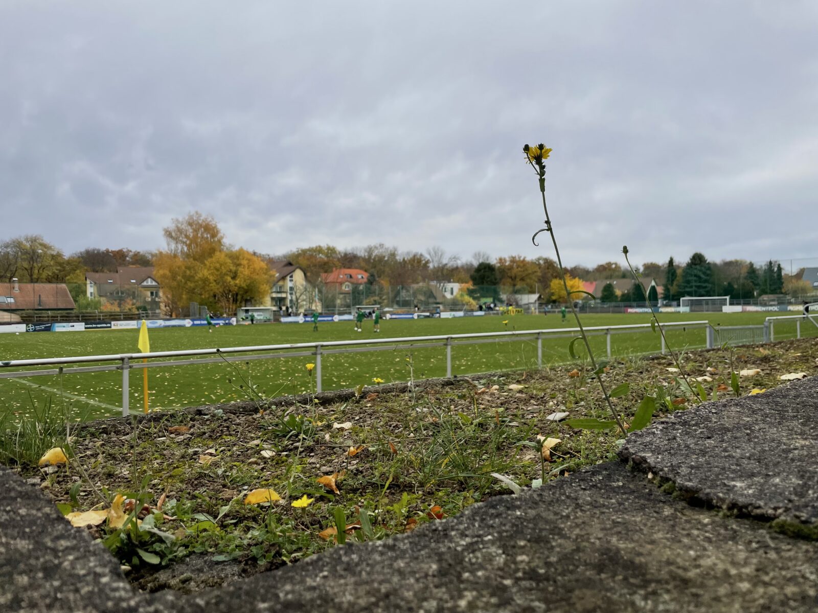 SC 1903 Weimar – SV Eintracht Eisenberg 3:0 (11)