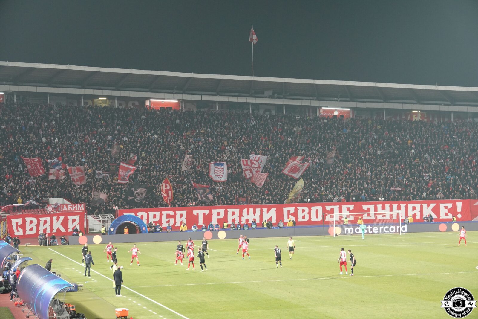 Roter Stern Belgrad – VfB Stuttgart 5-1 (8)