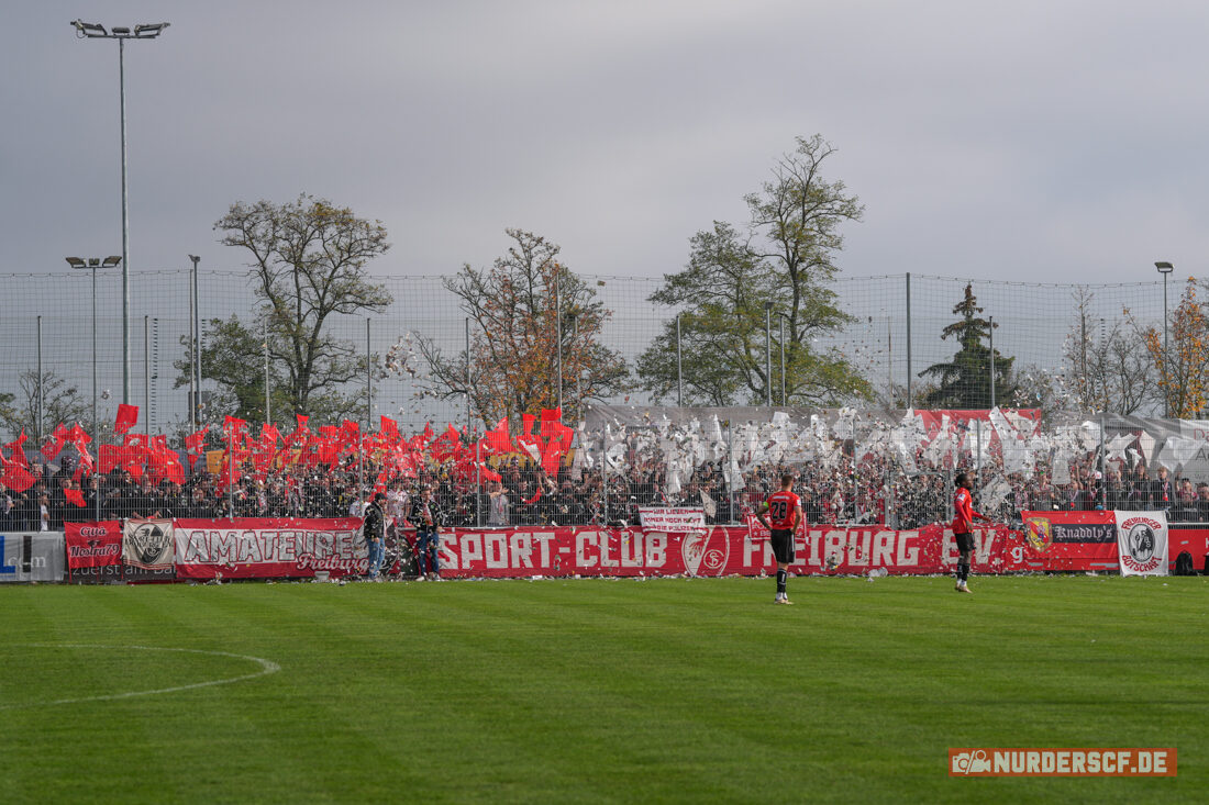 Göppinger SV – SC Freiburg II 1-0 (31)