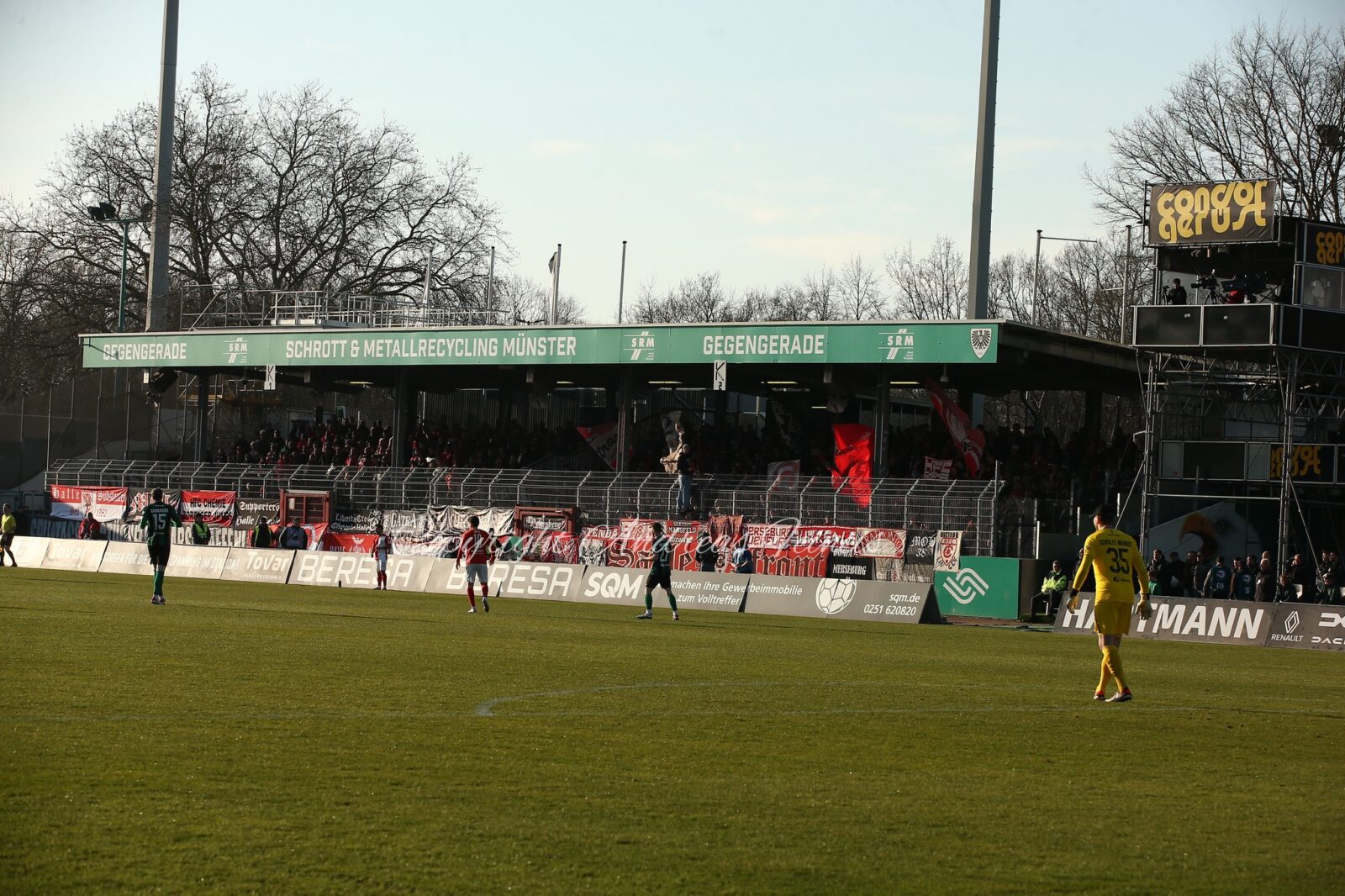SC Preußen Münster – Hallescher FC 1-0 (7)