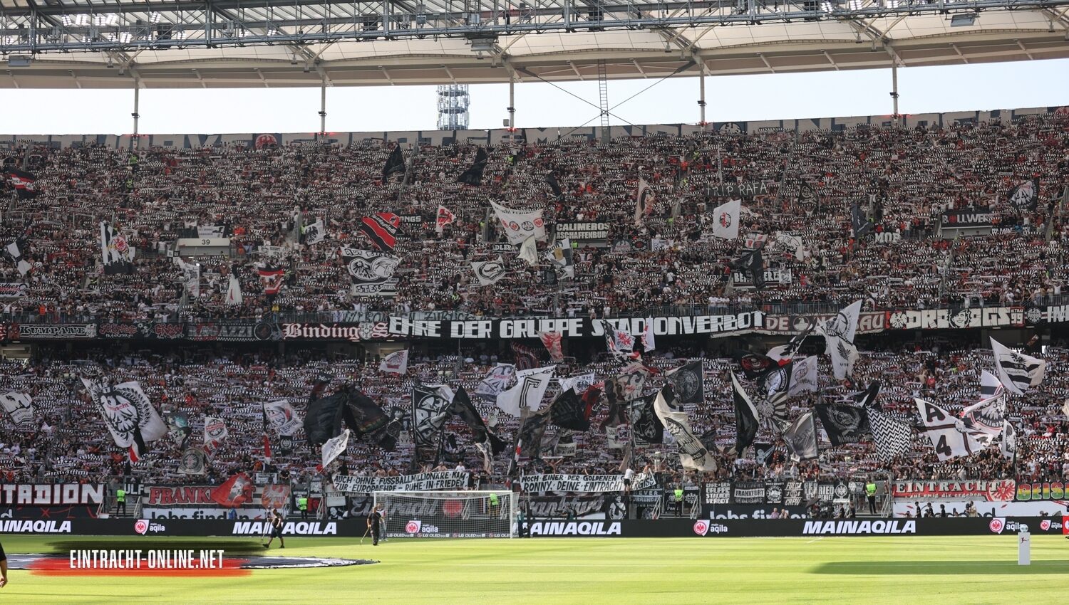 Eintracht Frankfurt – TSG Hoffenheim 3-1 (45)