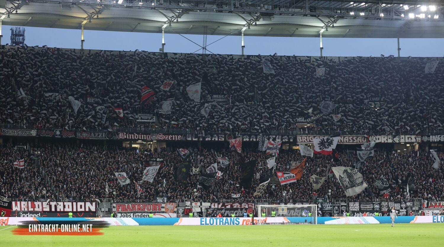 Eintracht Frankfurt – TSG Hoffenheim 3-1 (5)