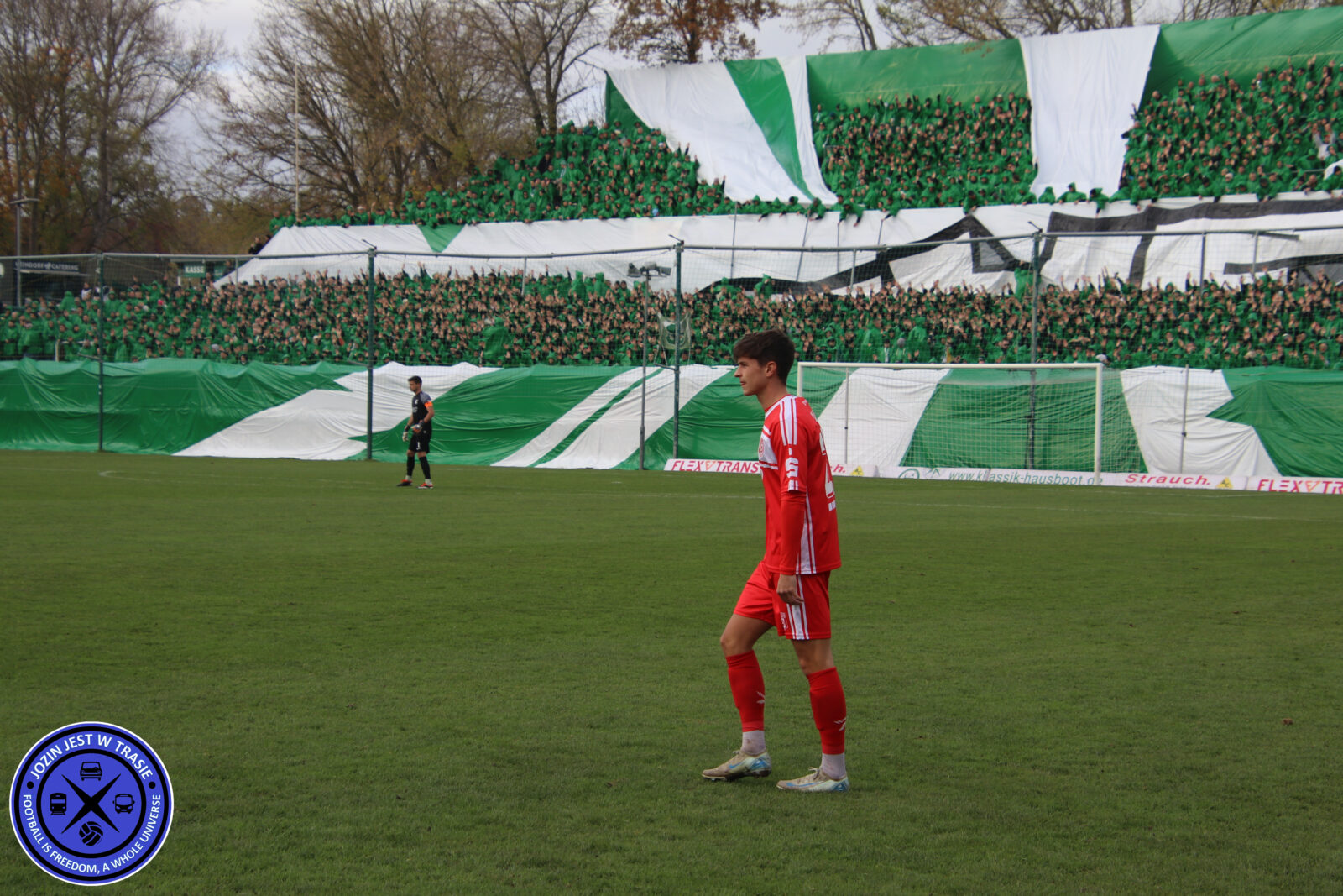 BSG Chemie Leipzig – Hallescher FC 1-1 (25)