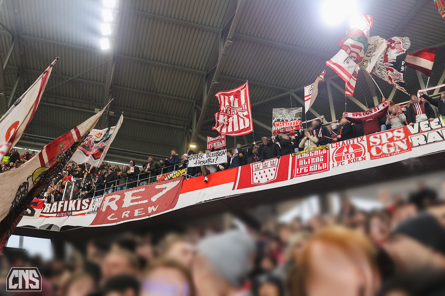 SC Freiburg – 1. FC Köln 2-0 (12)
