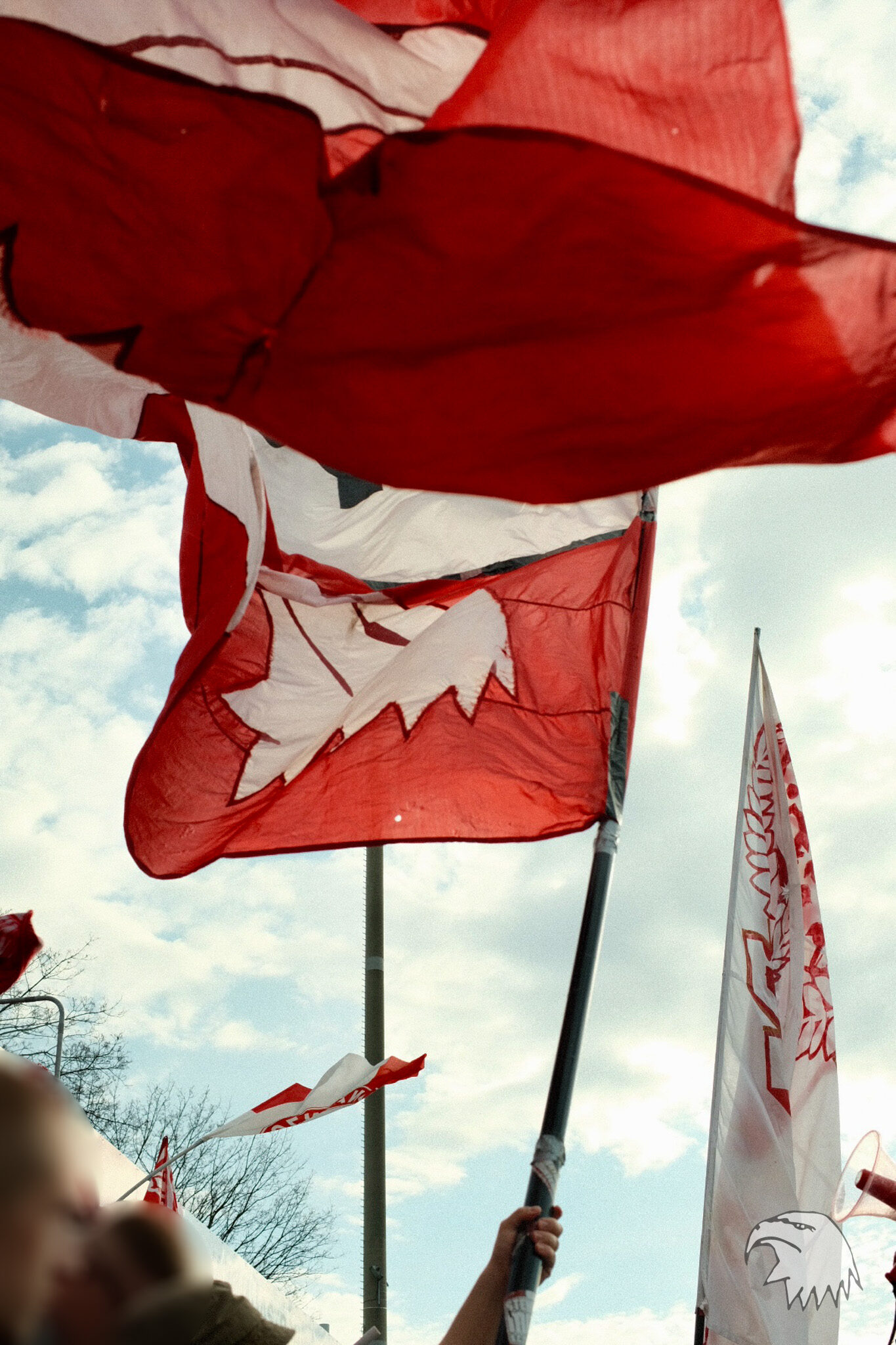SC Fortuna Köln – TSV Alemannia Aachen 1-0 (19)