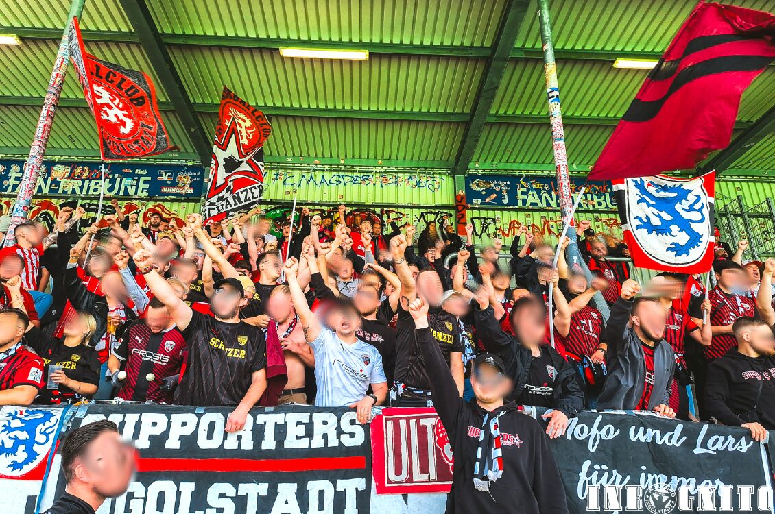 SV Sandhausen – FC Ingolstadt 1-1 (3)