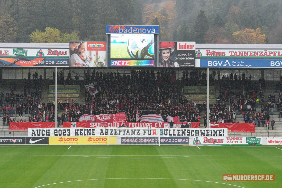 SC Freiburg II – SC Preußen Münster 2-2 (44)