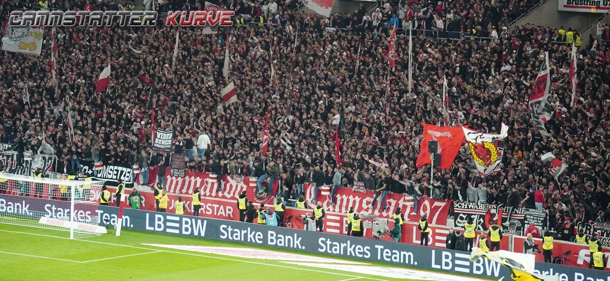 VfB Stuttgart – TSG Hoffenheim 1-1 (28)