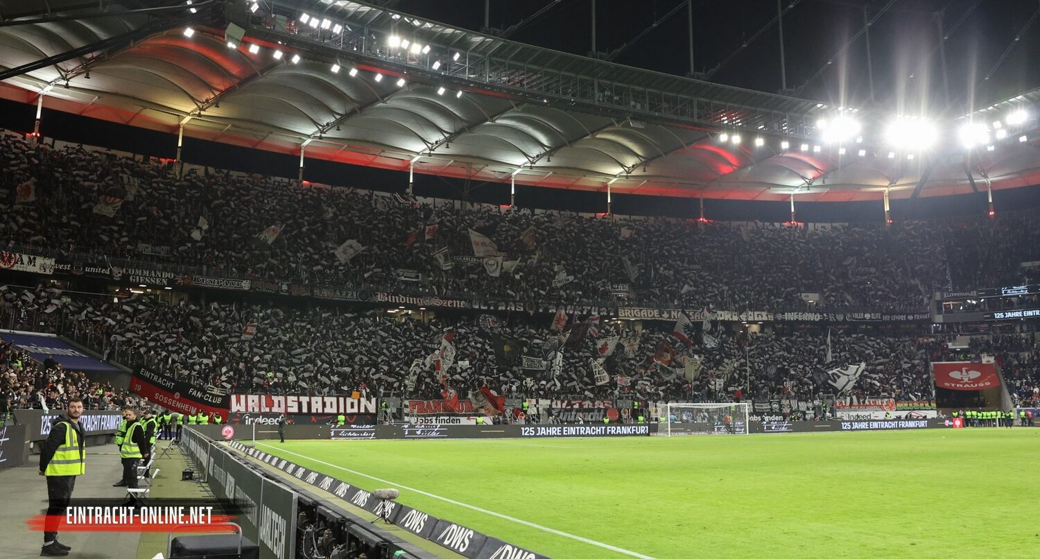 Eintracht Frankfurt – TSG Hoffenheim 3-1 (17)