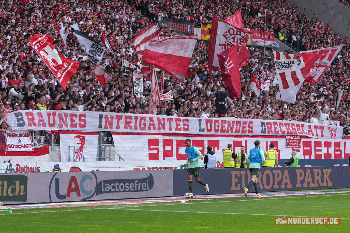 SC Freiburg – VfL Wolfsburg 1-2 (12)