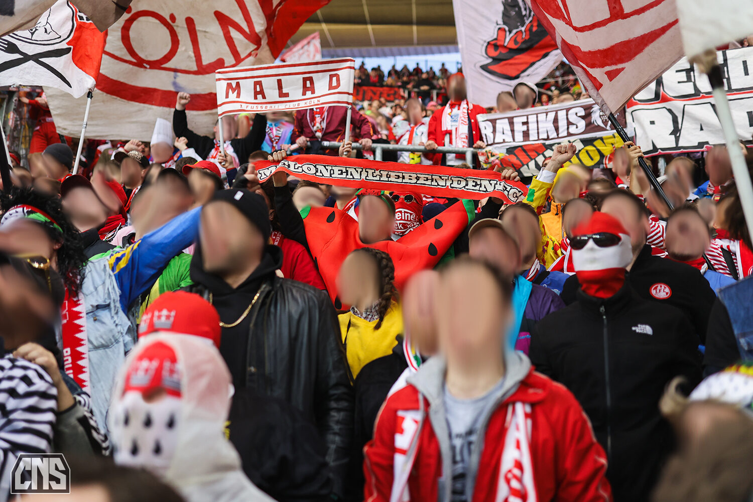 TSG Hoffenheim – 1. FC Köln 1-1 (7)