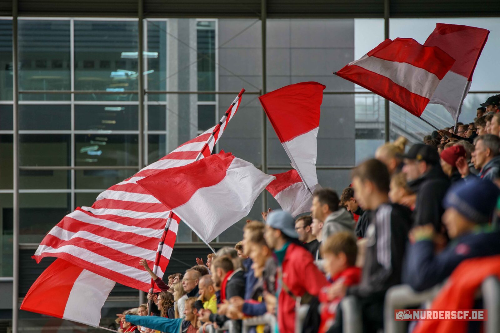SC Freiburg Frauen – Eintracht Frankfurt Frauen 2-4 (9)