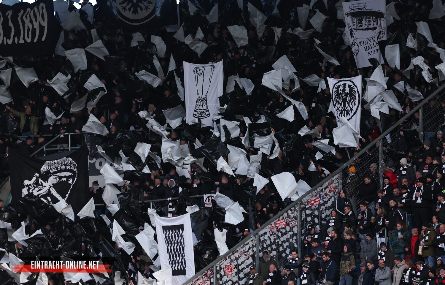 TSG Hoffenheim – Eintracht Frankfurt 2-2 (12)