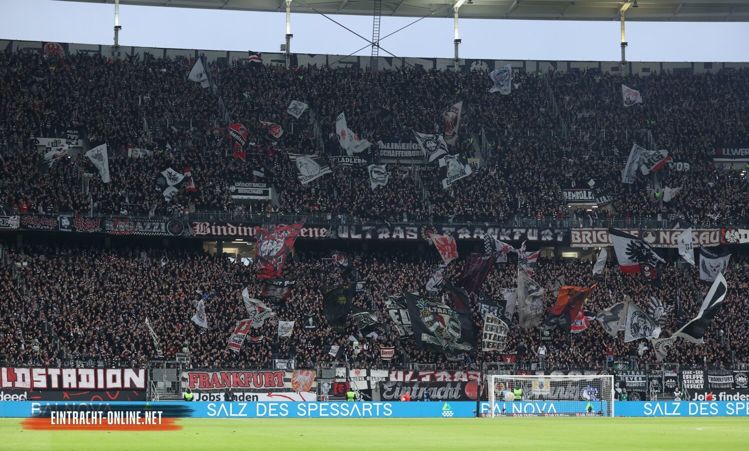 Eintracht Frankfurt – TSG Hoffenheim 3-1 (12)