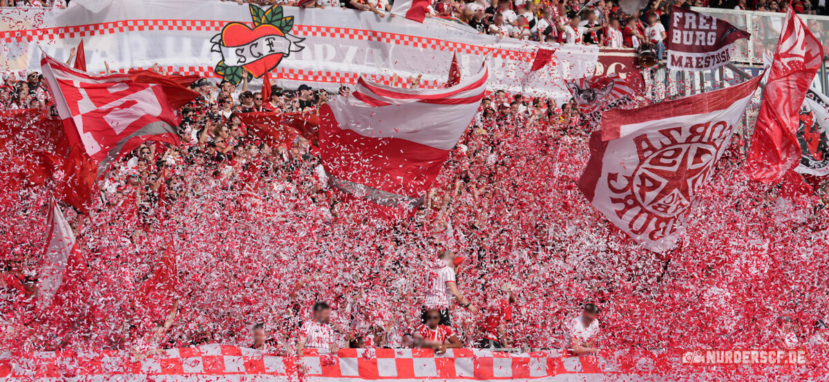 SV Darmstadt 98 – SC Freiburg 0-1 (36)
