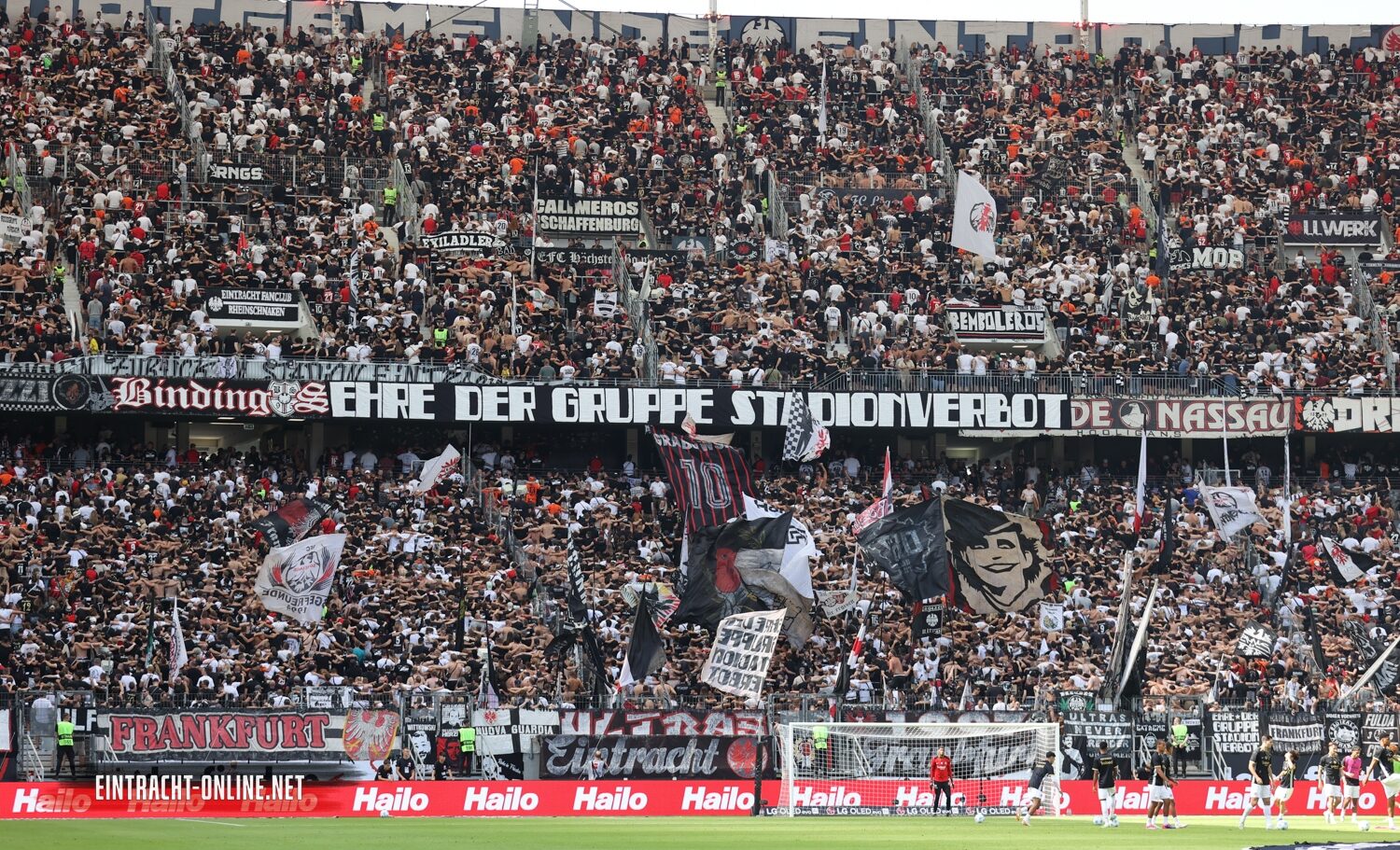 Eintracht Frankfurt – TSG Hoffenheim 3-1 (40)