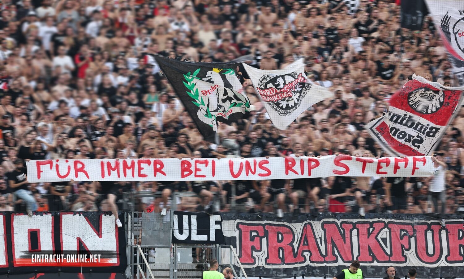 Eintracht Frankfurt – TSG Hoffenheim 3-1 (32)