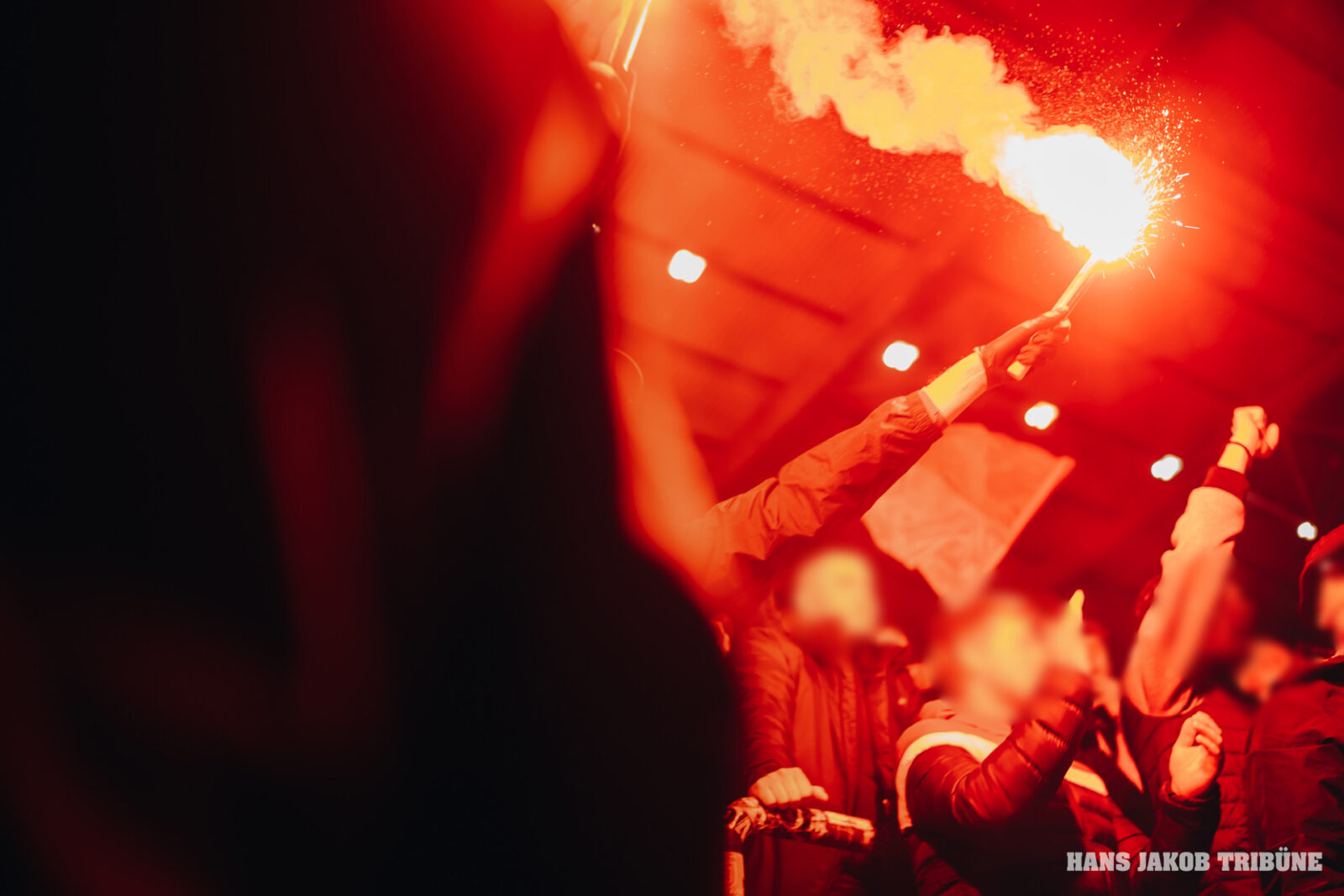 SpVgg Fürth – SSV Jahn Regensburg 2-1 (33)