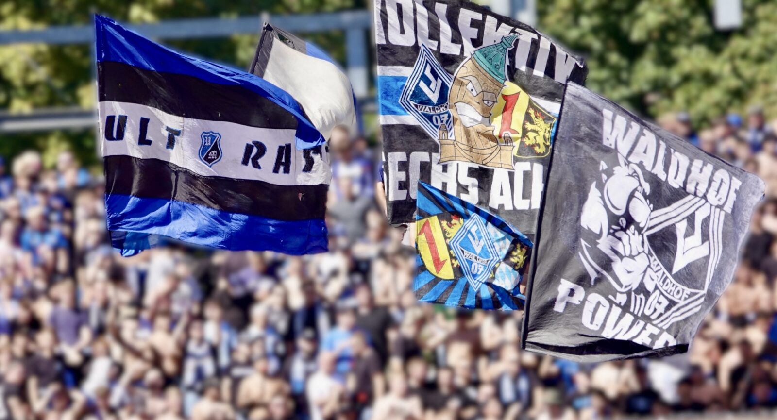 SSV Ulm 1846 – SV Waldhof Mannheim 1:2 (1)