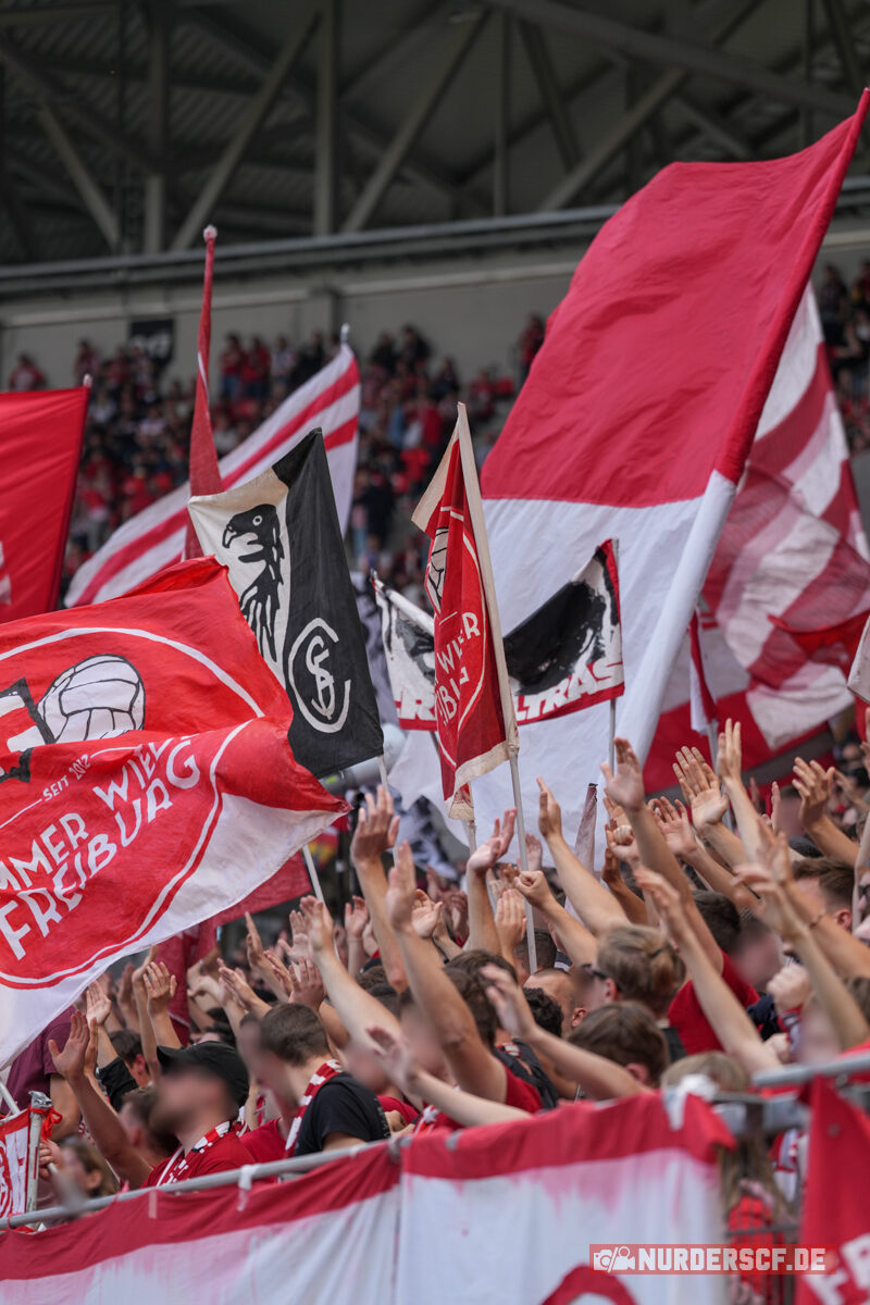 SC Freiburg – VfL Wolfsburg 1-2 (2)