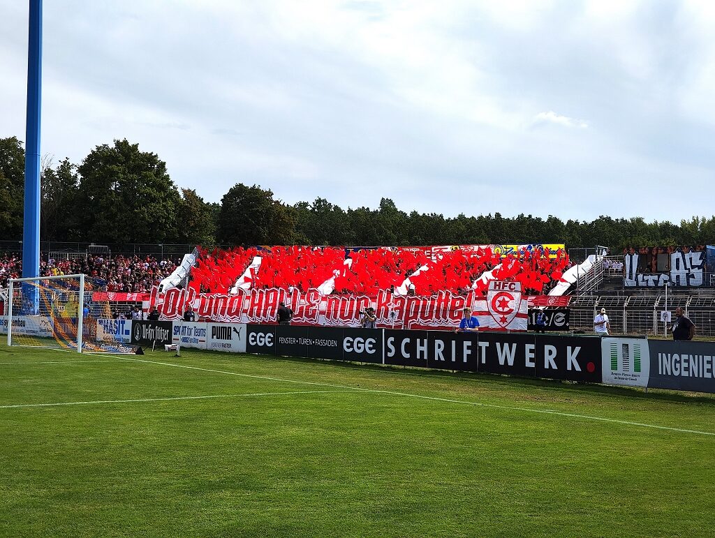1. FC Lokomotive Leipzig – Hallescher FC 1-1 (13)