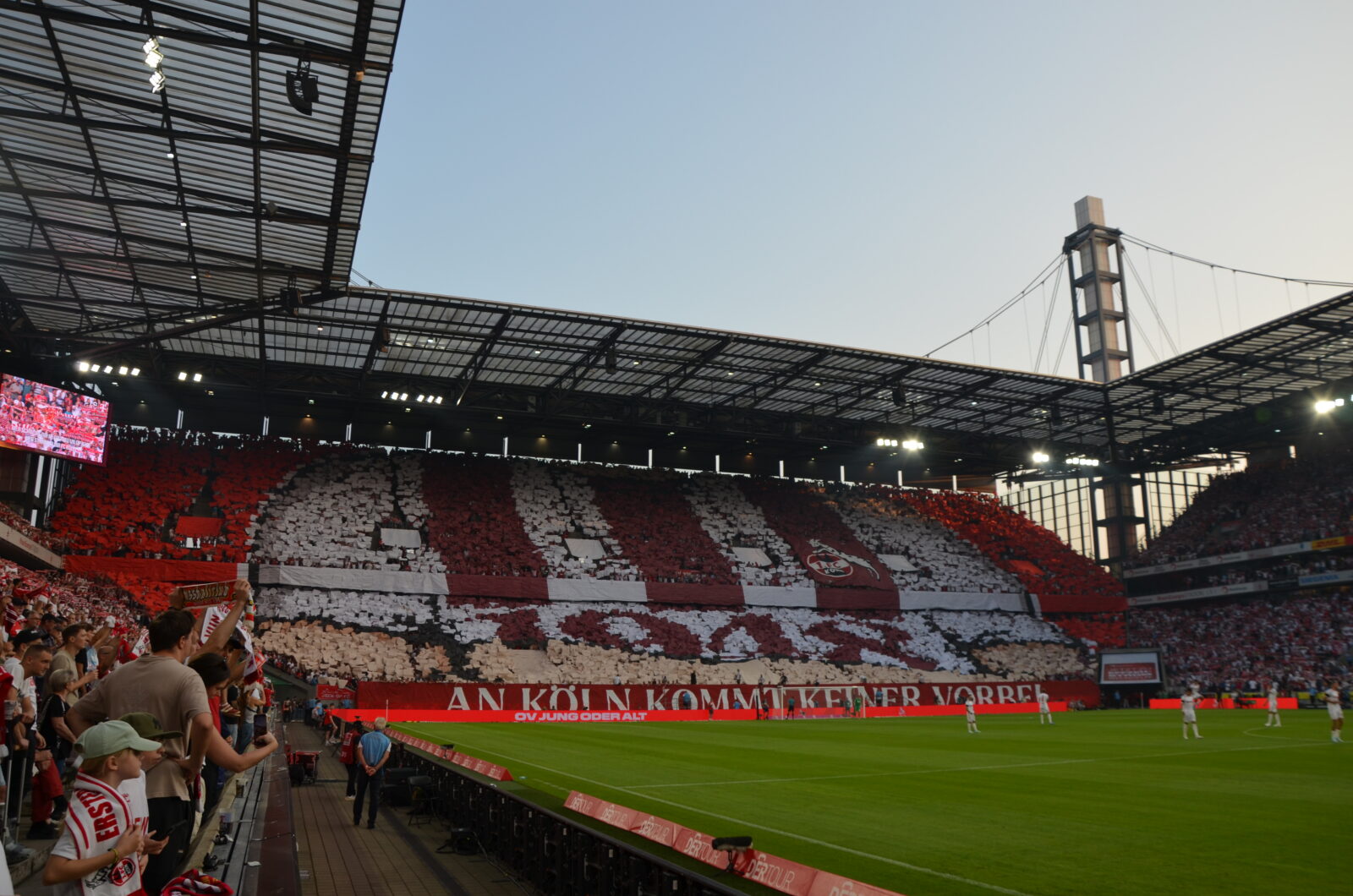 1. FC Köln – Hamburger SV 1-2 (9)