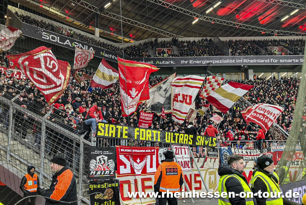 Bayer 04 Leverkusen – 1. FSV Mainz 05 1-0 (6)
