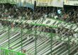 CA Banfield vs Boca Unidos (0-0)