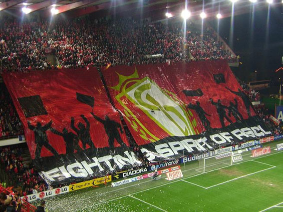 Standard Lüttich vs KRC Genk (2-0) (4)