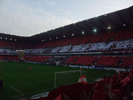 Standard Lüttich vs RSC Anderlecht (1-0) (2)