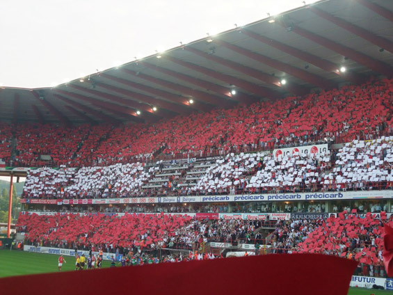 Standard Lüttich vs RSC Anderlecht (1-0) (5)