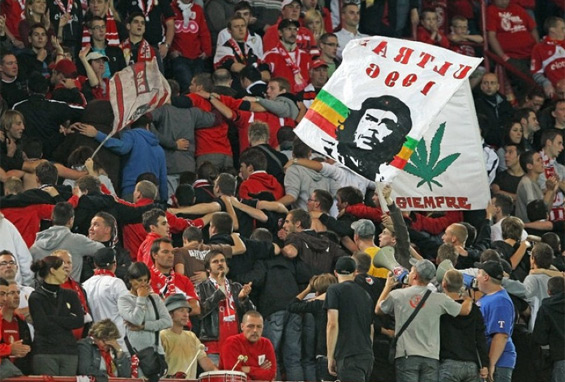 Standard Lüttich vs KV Kortrijk (1-0) (10)