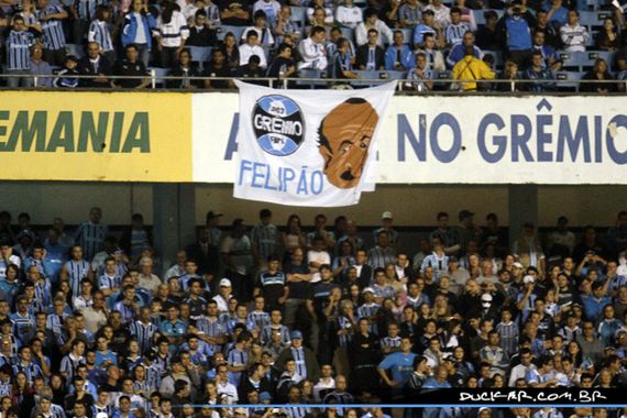 Gremio Porto Alegre vs Palmeiras Sao Paulo (1-0) (9)