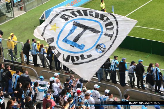 Gremio Porto Alegre vs AF Chapecoense (1-0) (8)