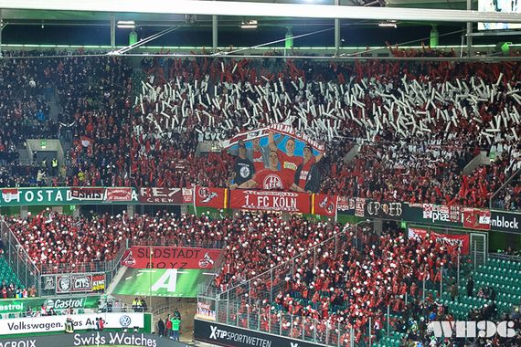 VfL Wolfsburg vs 1. FC Köln (2-1)