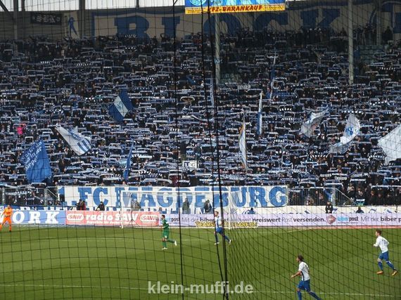 1. FC Magdeburg vs SC Preußen Münster (3-1)