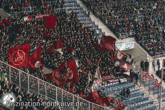 TSG Hoffenheim vs 1. FC Nürnberg (2-1)