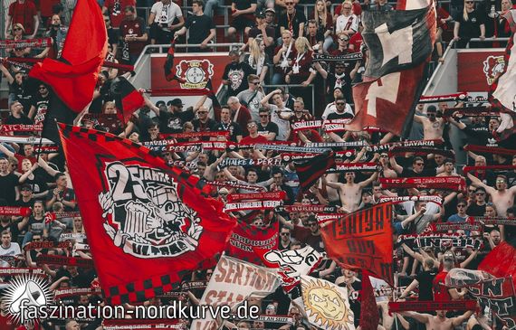 Bayer 04 Leverkusen vs 1. FC Nürnberg (2-0)