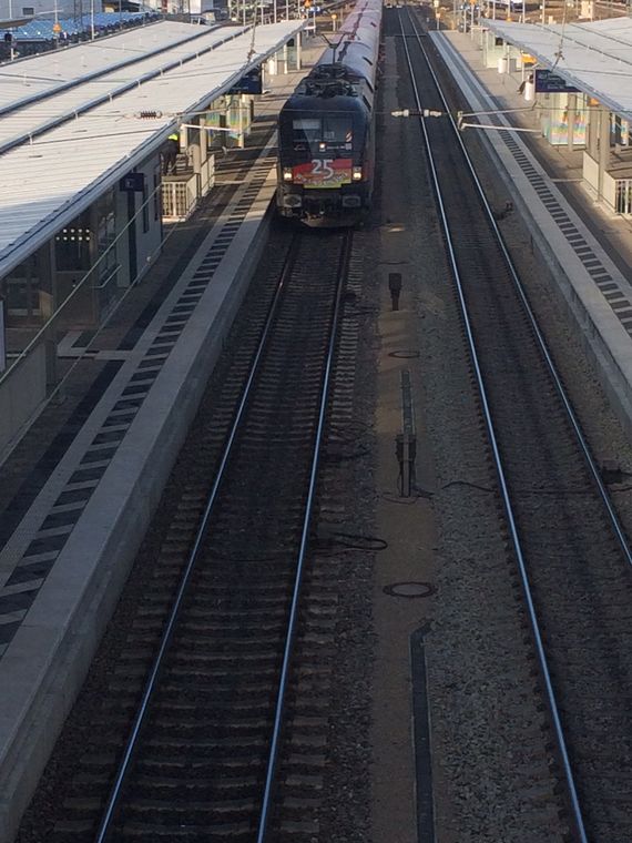 FC Ingolstadt 04 vs Bayer 04 Leverkusen (0-1)
