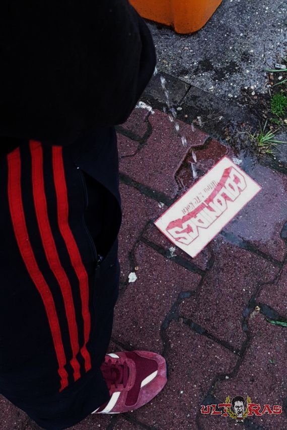 TSG Hoffenheim vs Bayer 04 Leverkusen (1-0)