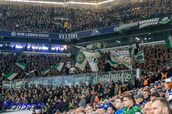 FC Schalke 04 vs Borussia Mönchengladbach (2-0)